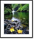 Punchbowl Falls, Rifle Creek, Columbia River area, OR