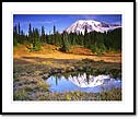 Mount Rainier reflection, Mount Rainier National Park, WA